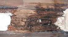 Load image into Gallery viewer, E-Wood - Log Home Center