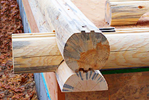 Round Log Double Tongue and Groove