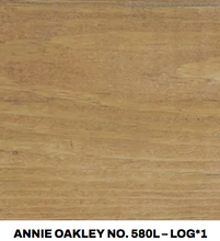 Load image into Gallery viewer, Sundance Log 1 Coat Stain &amp; Sealant - Log Home Center